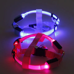 USB Rechargeable Luminous Dog Harness No Pull LED Light Night Safety Nylon Pet Dog Collar Led Glowing Dog Light Harness Running
